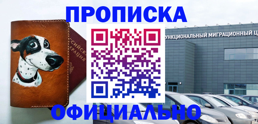 временная прописка в Сосновке